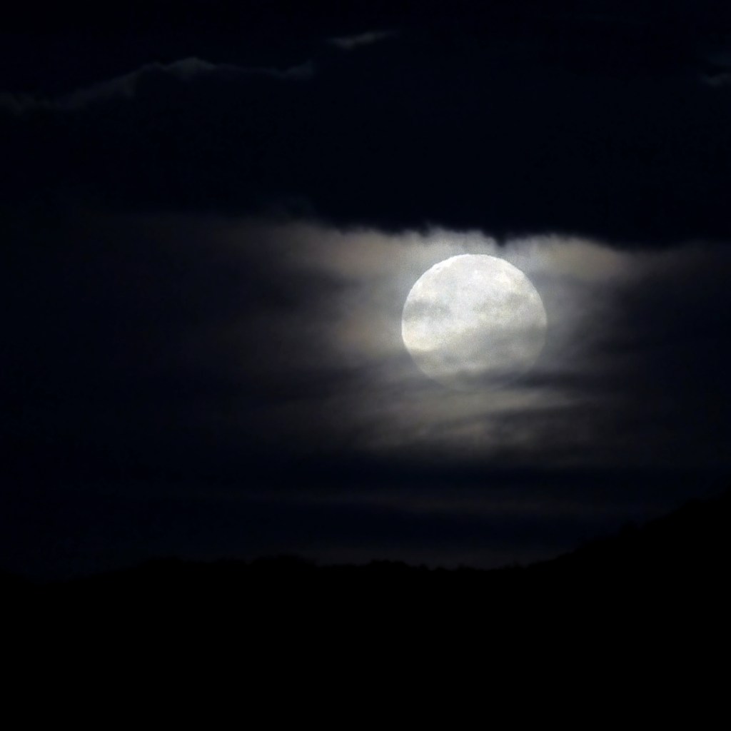 The Gift of Gratitude:&nbsp;Darkness