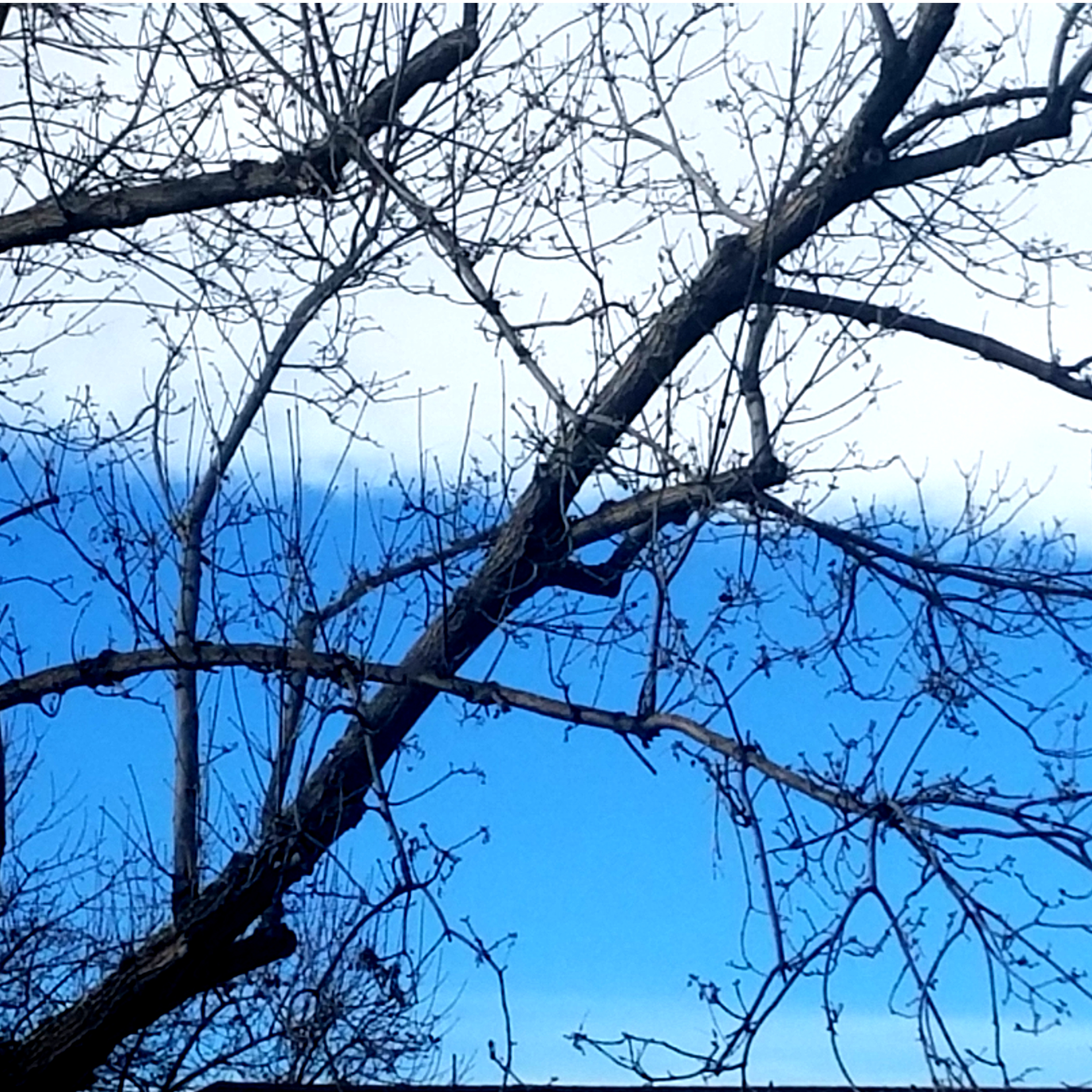 00-sqskies-20171228_decemberskies