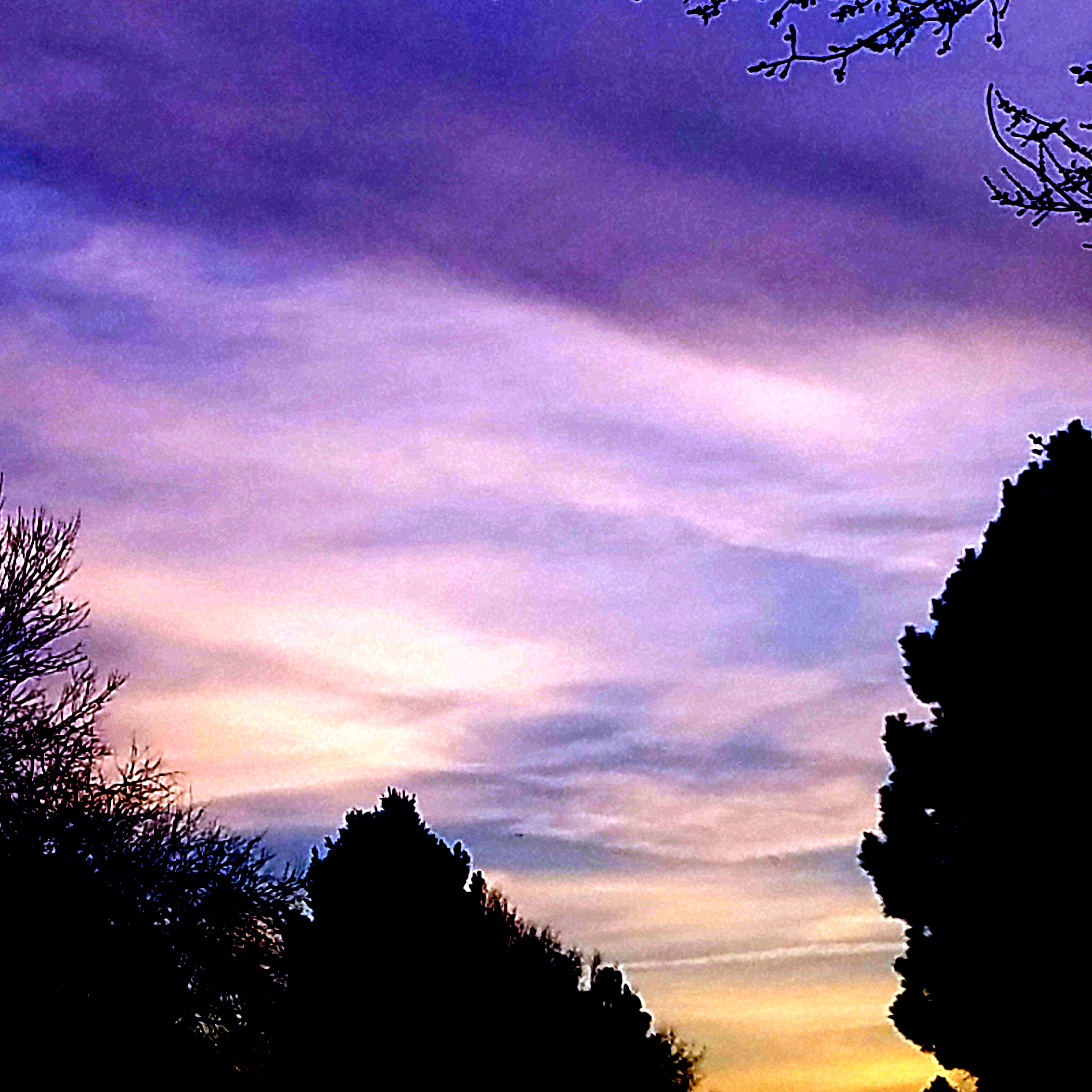 00-sqsky-20171216_160229_25230831788_A