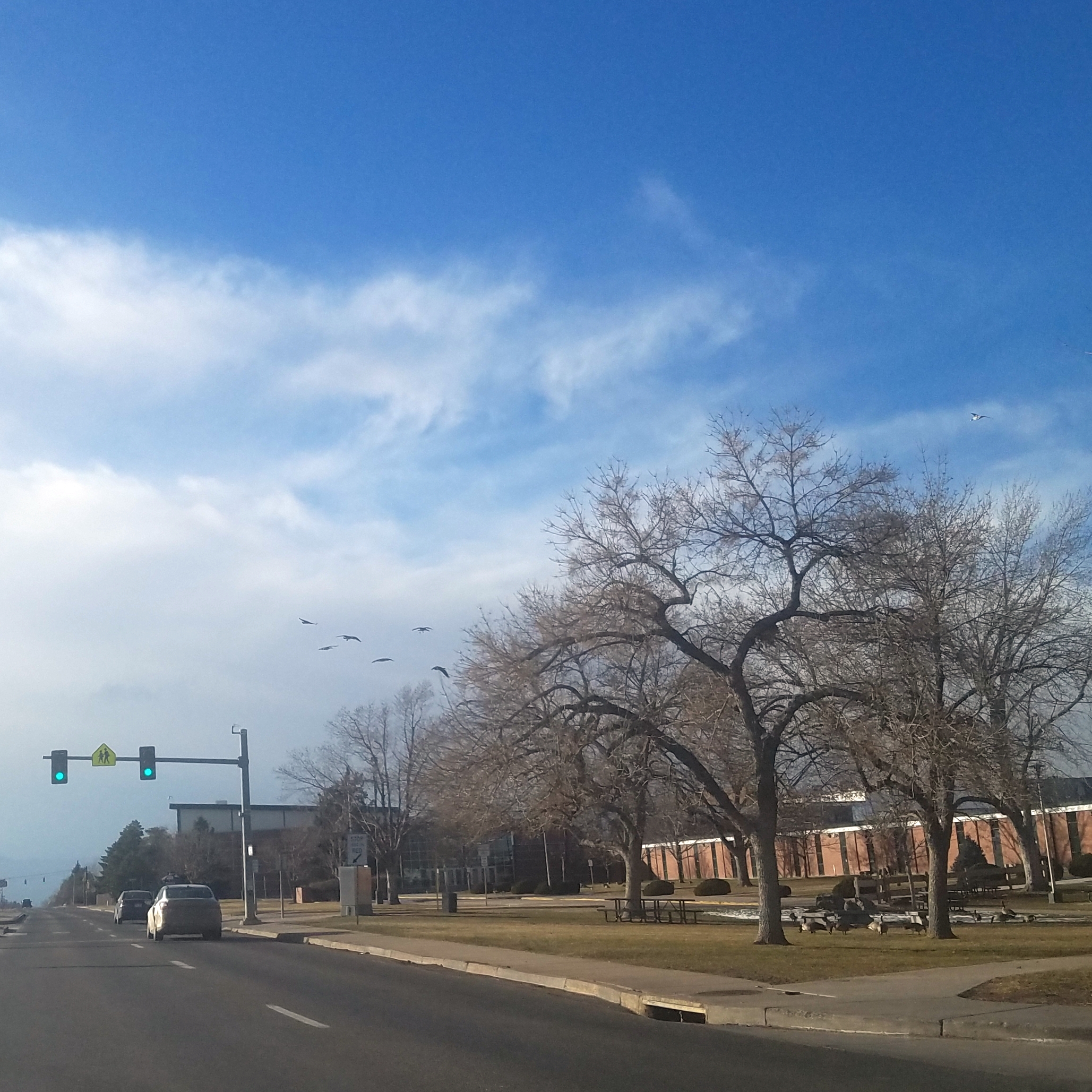 00-sqsky-20171223_myneighborhood