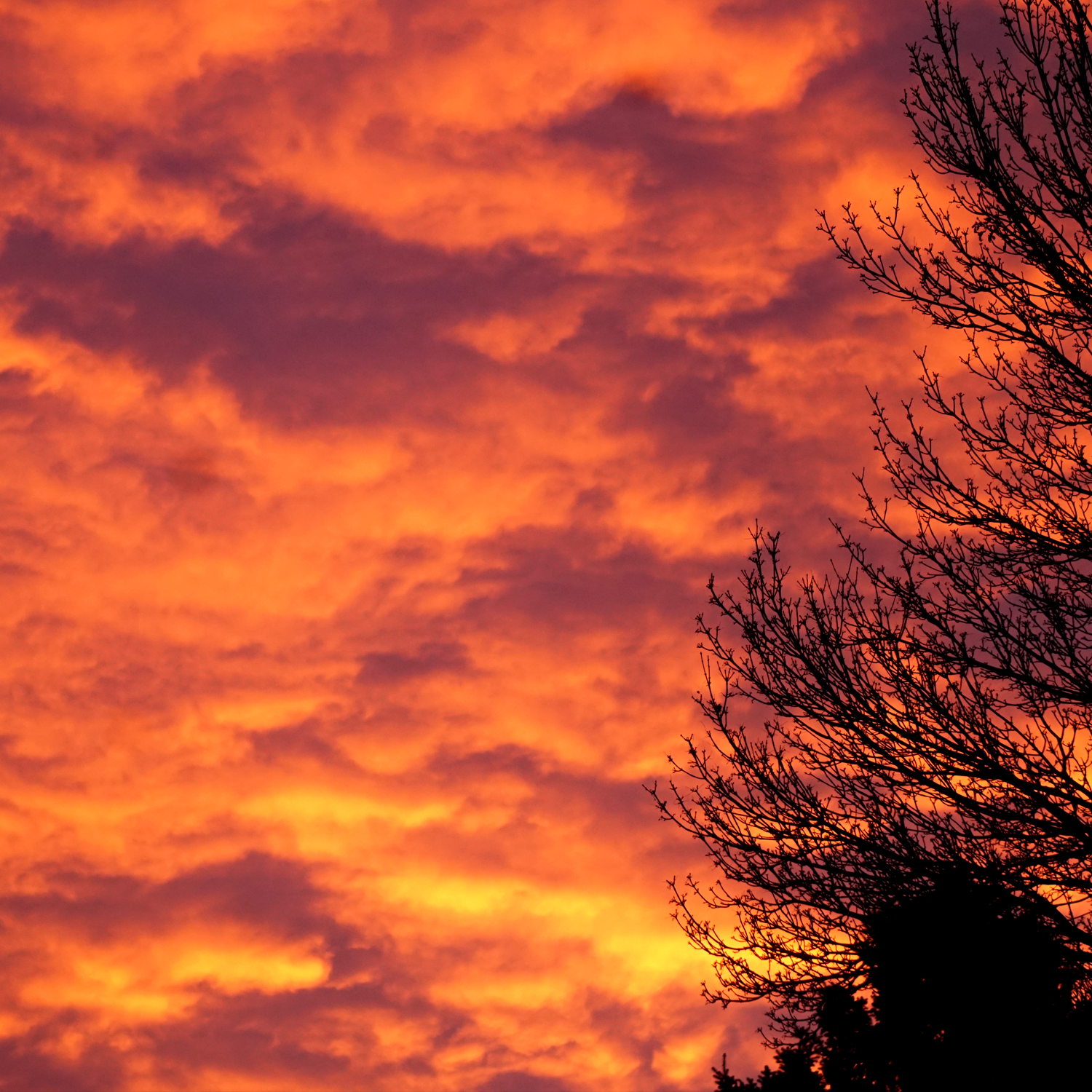 00-sqsky20171213-sunrise