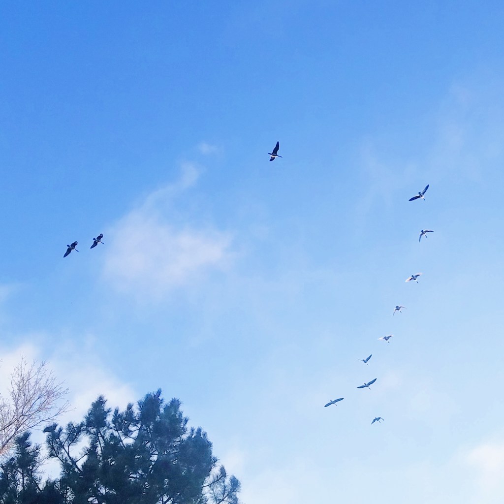 December Skies-Dec 31