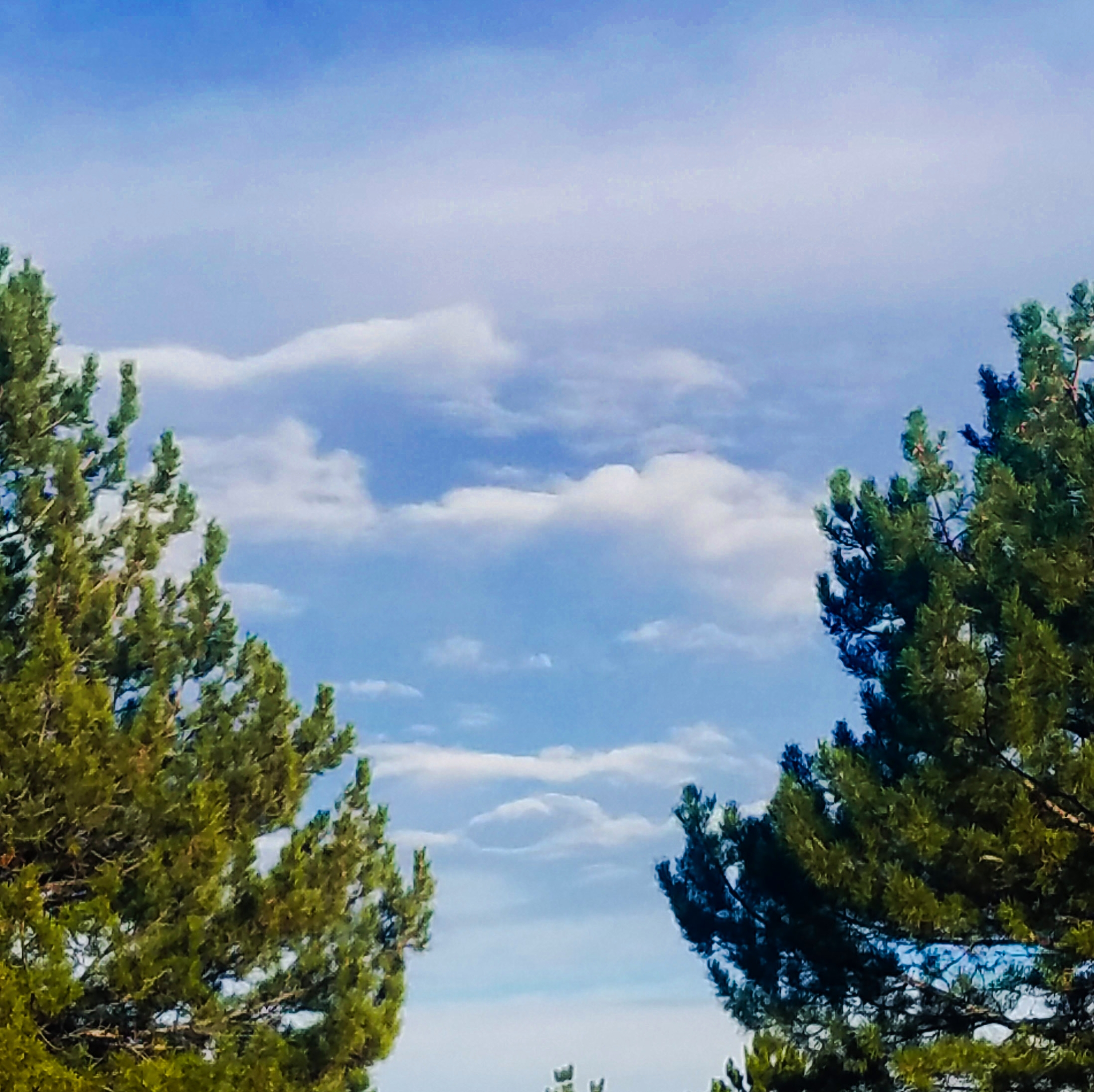 00-squaresky-20171208_152634_A