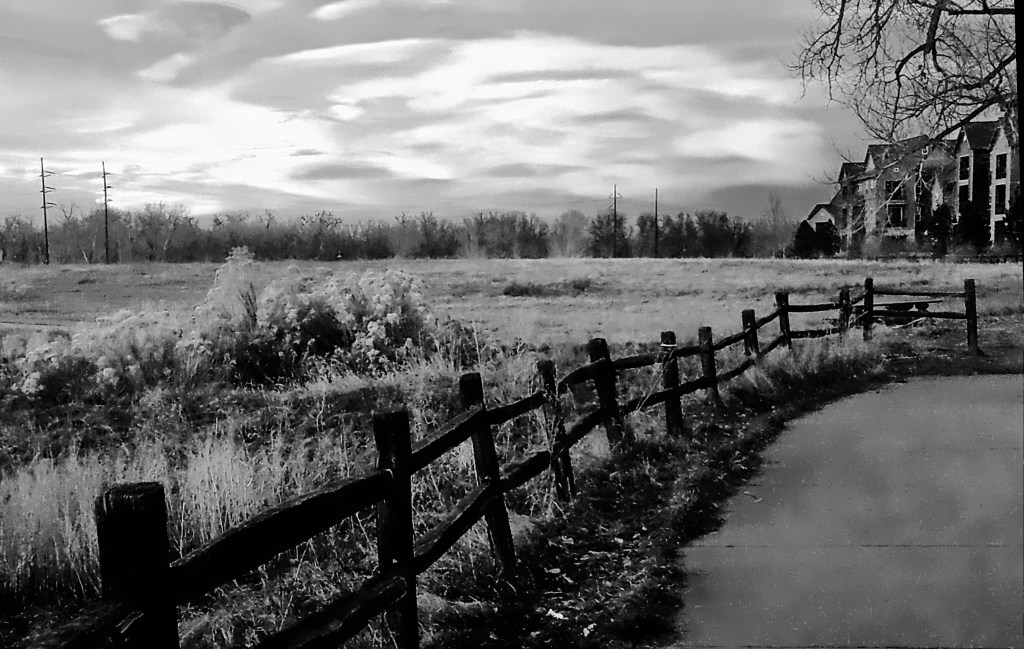 Linda’s Black & White Photo&nbsp;Challenge