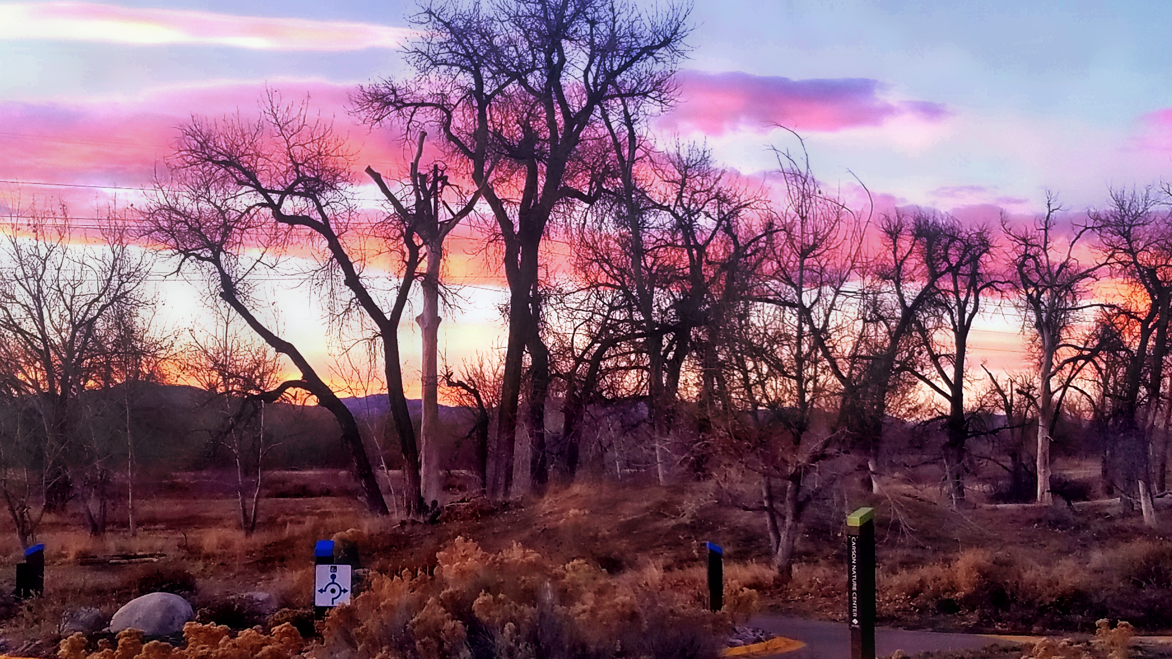 00-trees-20171215_164333_27301244929A