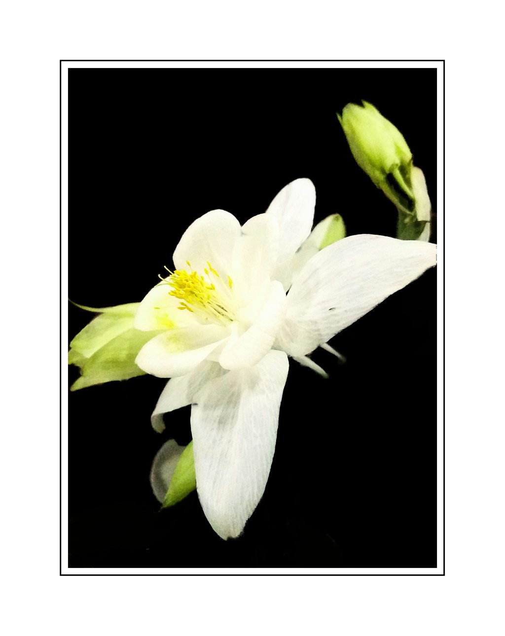 Travel with Intent Challenge –&nbsp;White