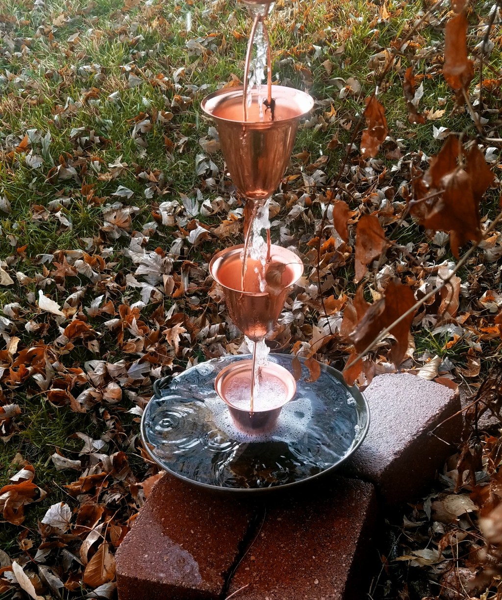 Mundane Monday Challenge #139: Learn&nbsp;Photography