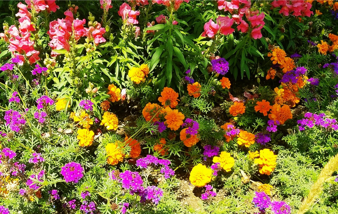 000-20170827_132036_364522756A_B