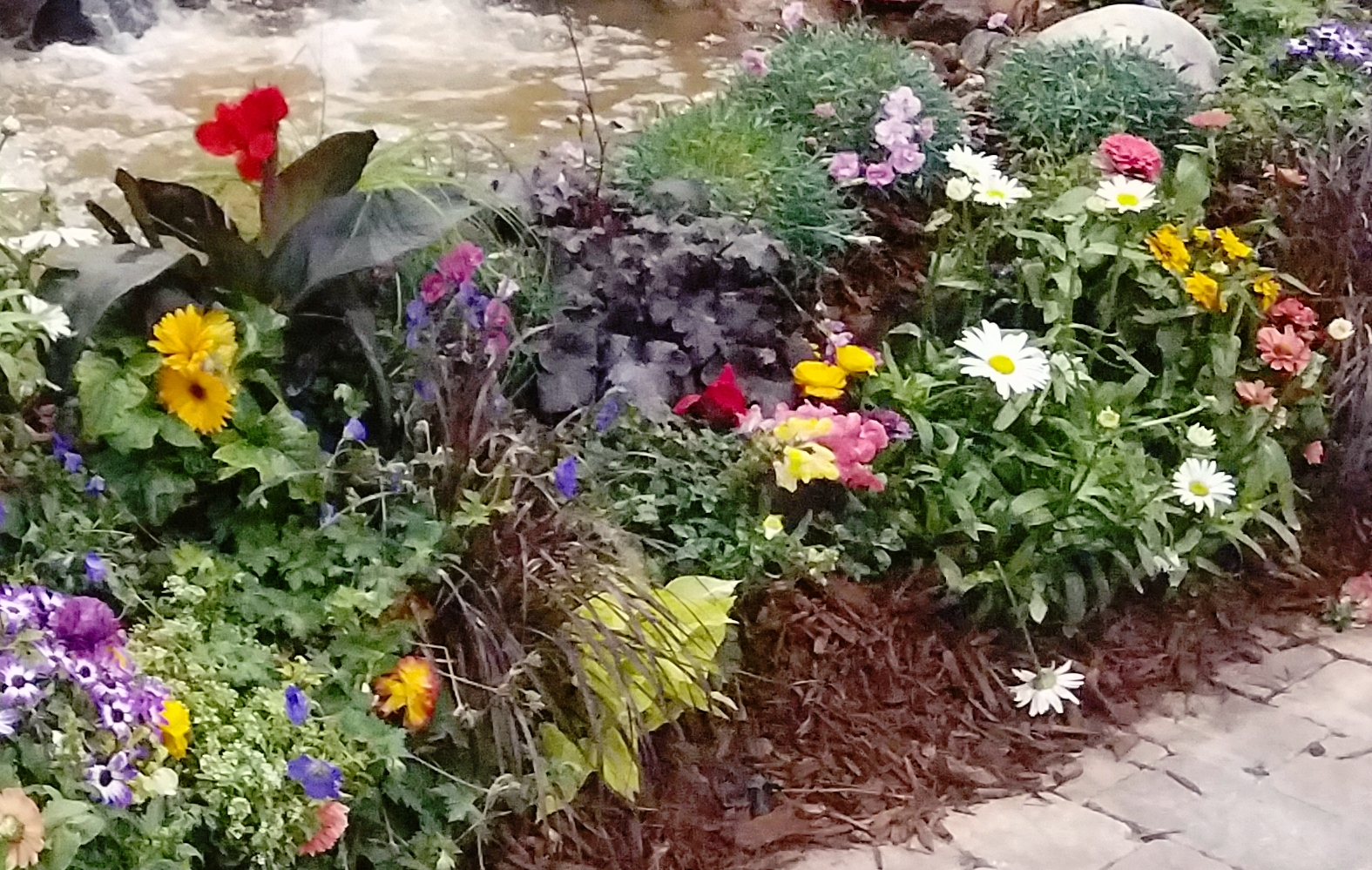 000-watergarden1-20170205_171519A