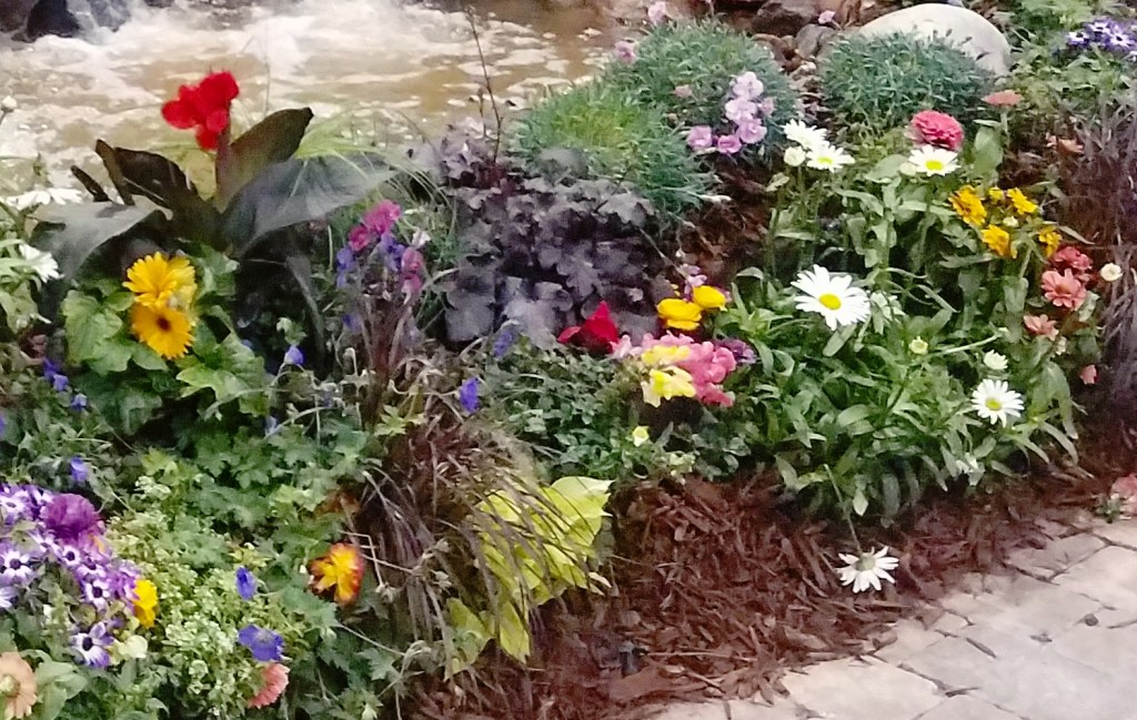 Flower of the Day – December 31,&nbsp;2017