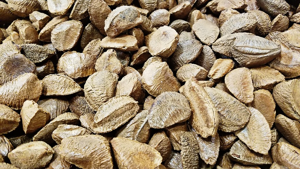 Color Your World –&nbsp;Almond