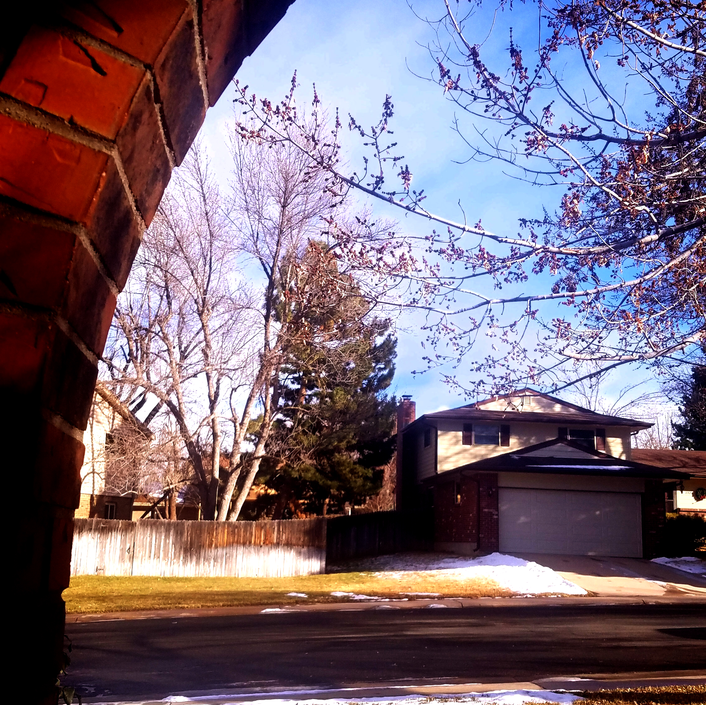 12272017-afterthesnowjpg