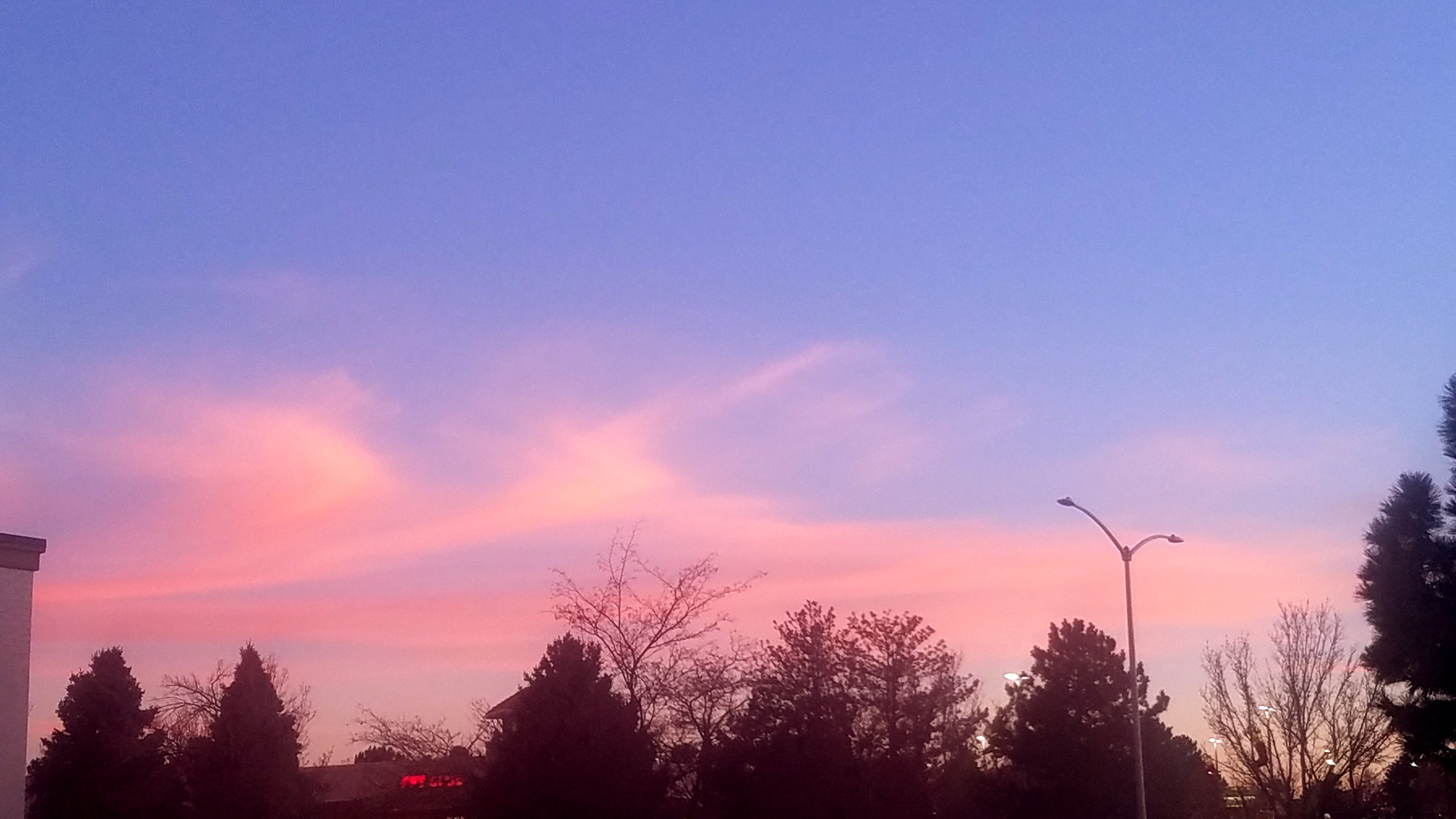 20171218_164628_38435778404_o