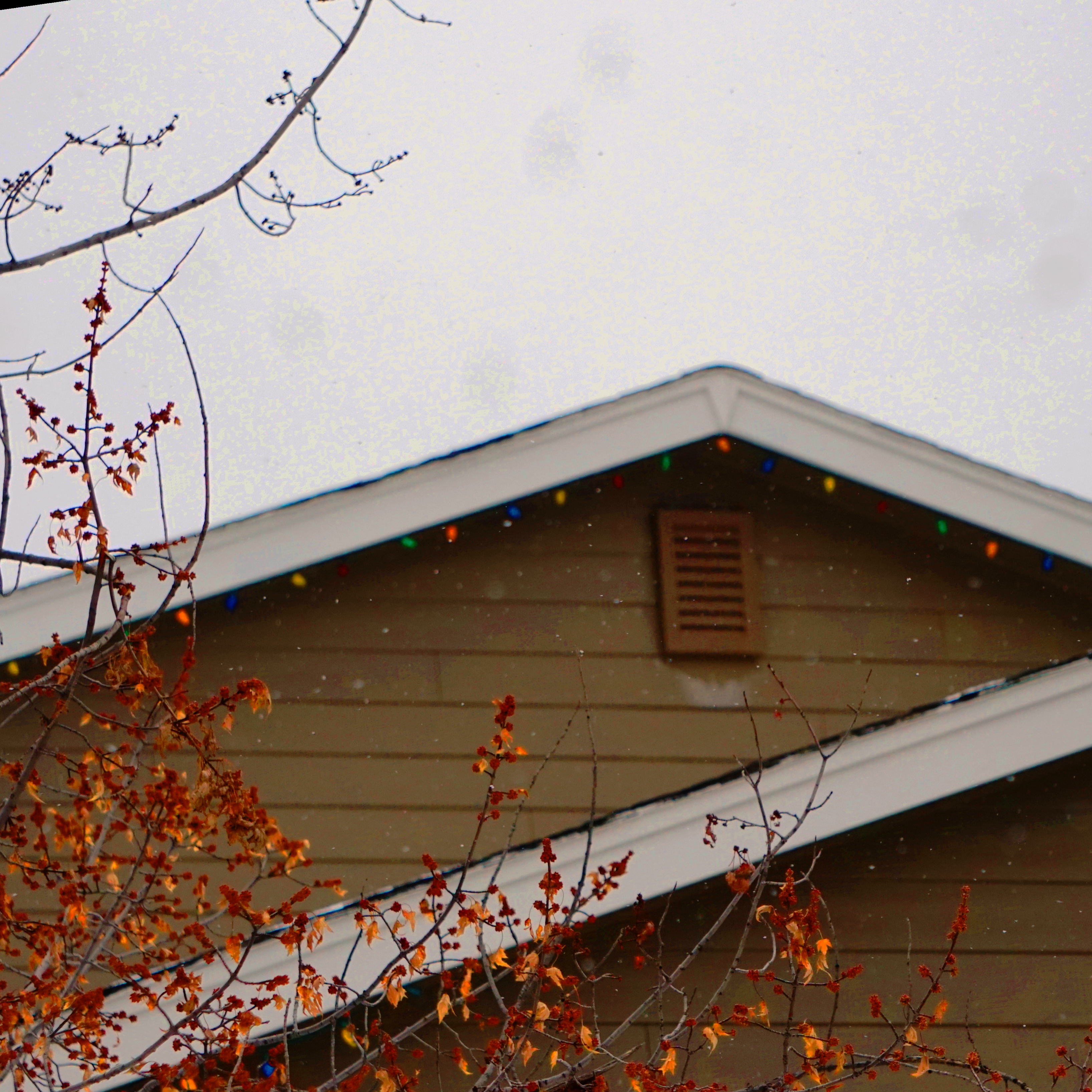 ChristmasLights-skyDSC03813_sq