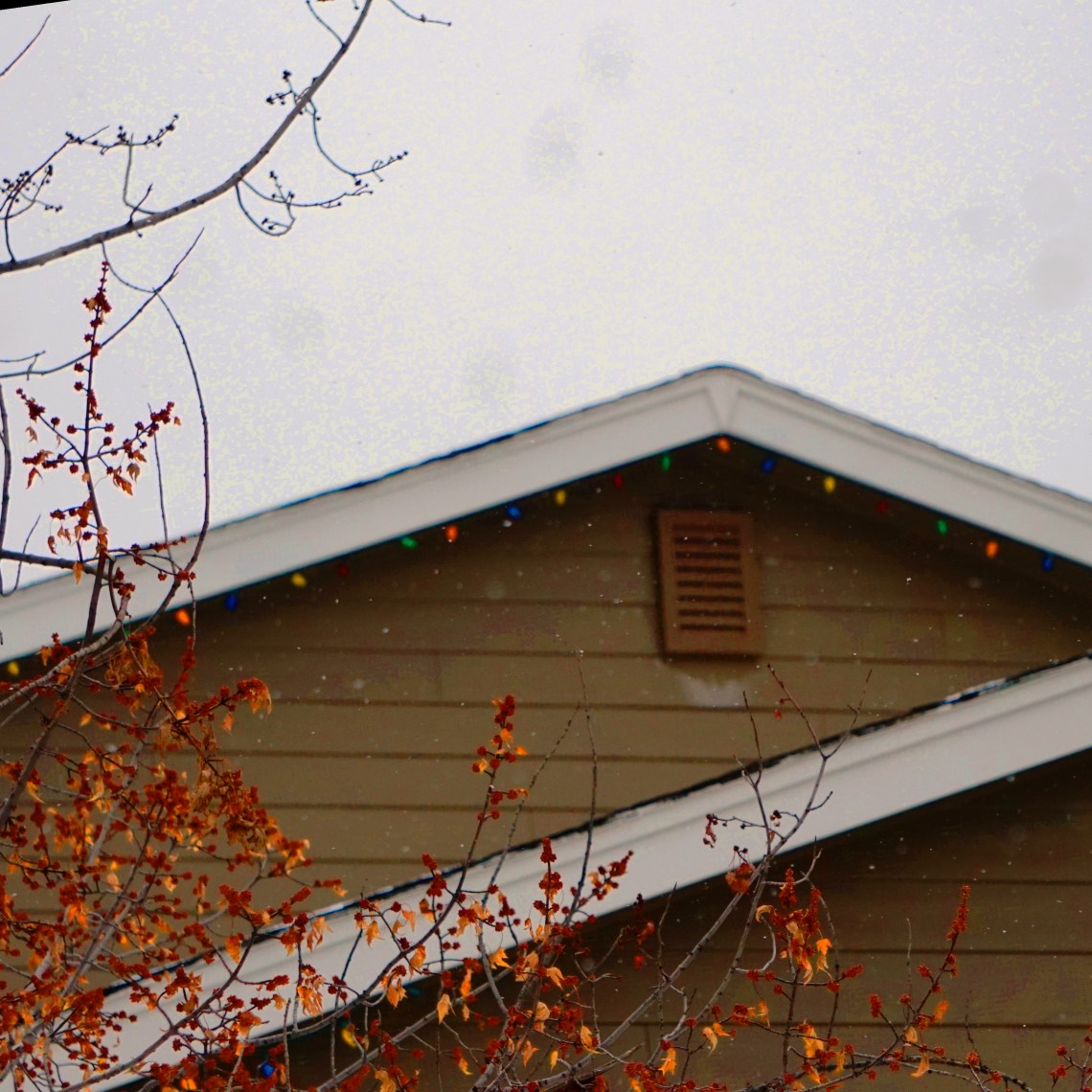 ChristmasLights-skyDSC03813_sq