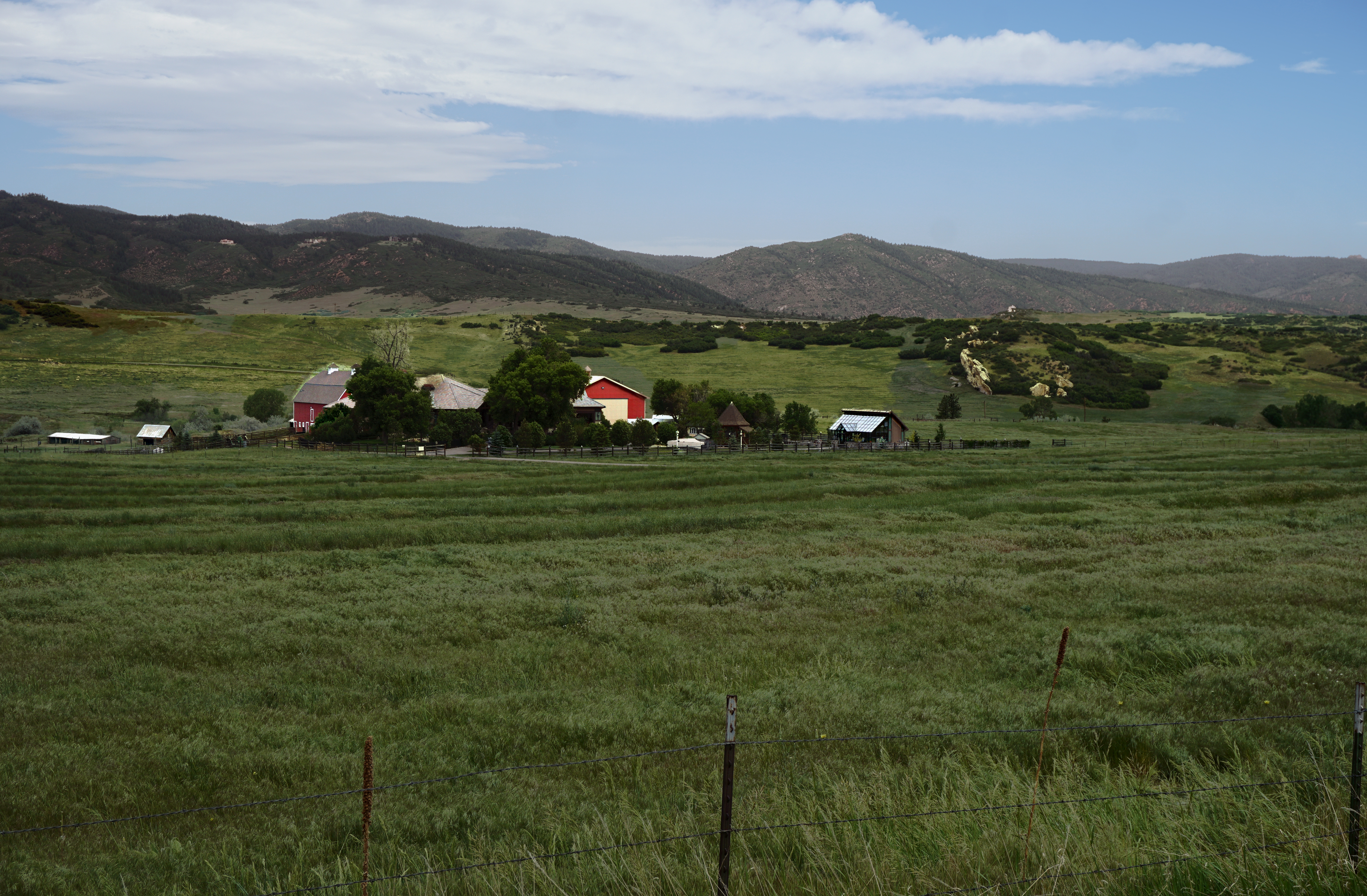 ColoradoFields-DSC00964