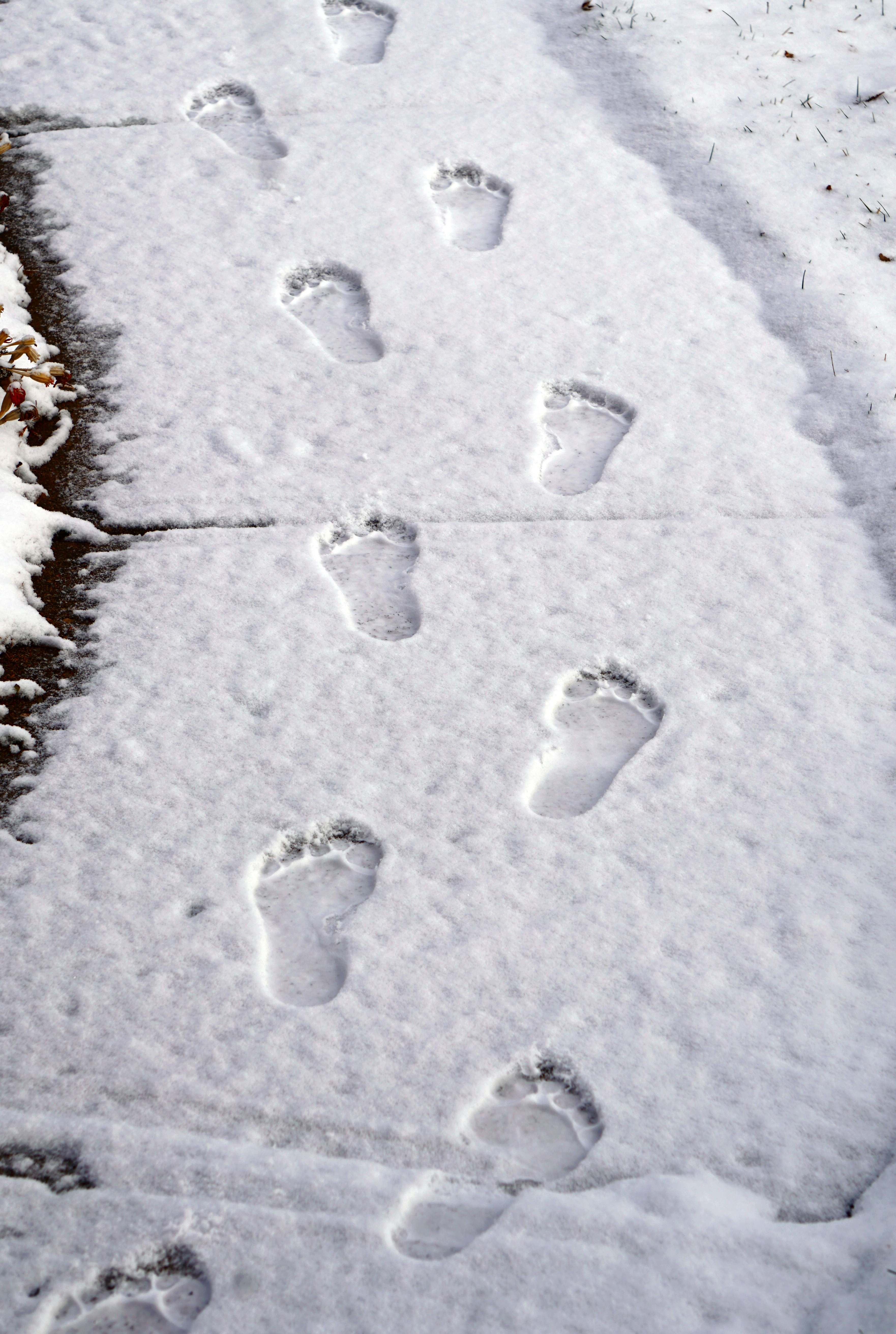 footprintsinthesnowDSC03746B