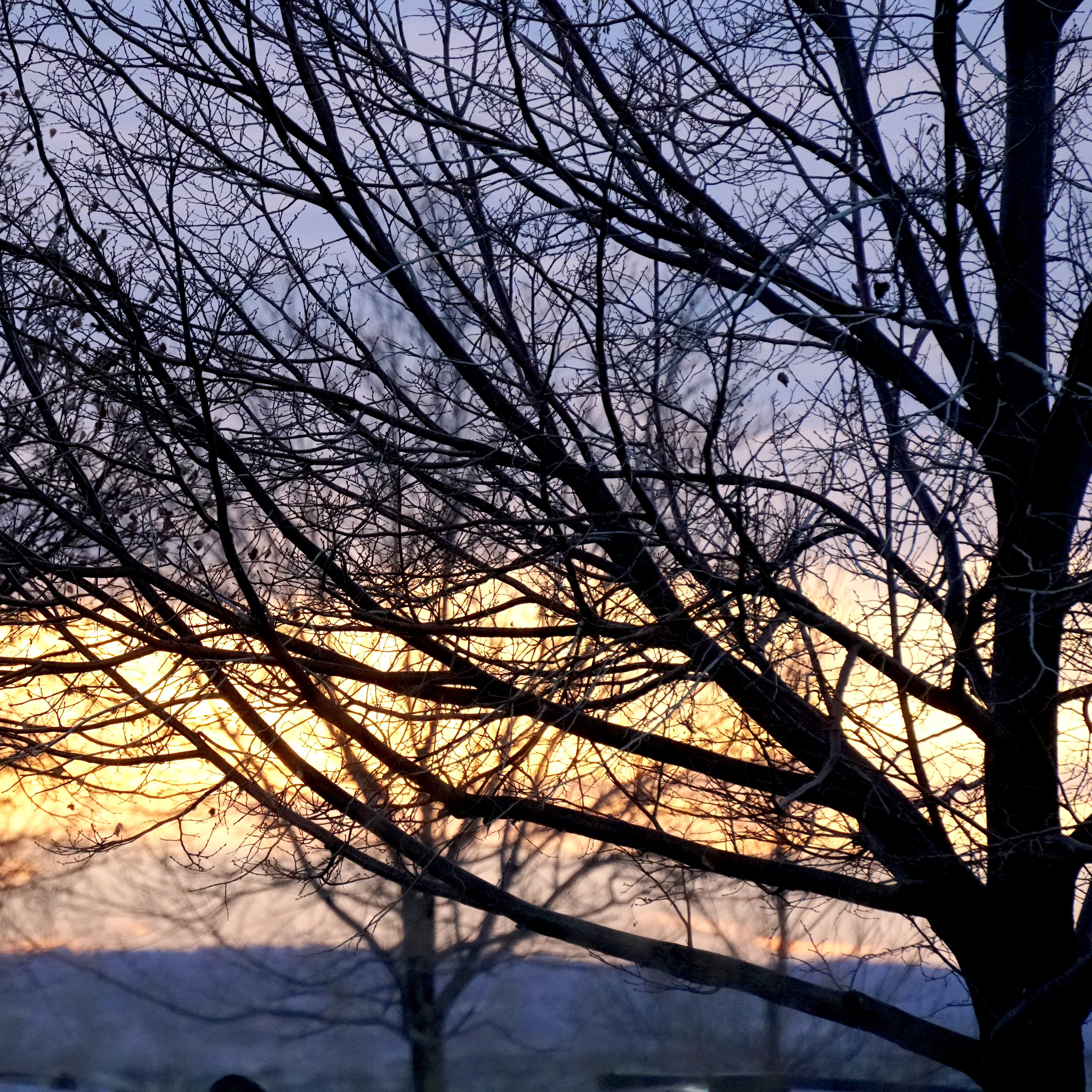 morningsky-sq-DSC03787