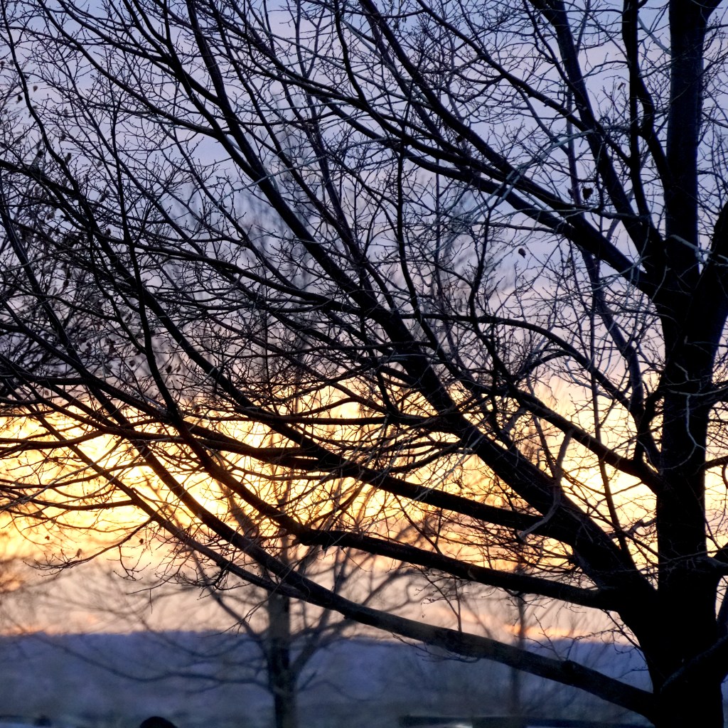 December Skies – Dec&nbsp;20