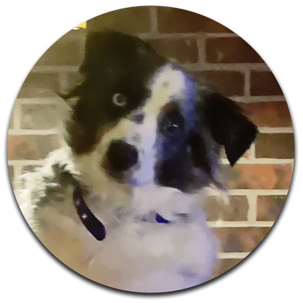 Share Your World – December 25,&nbsp;2017