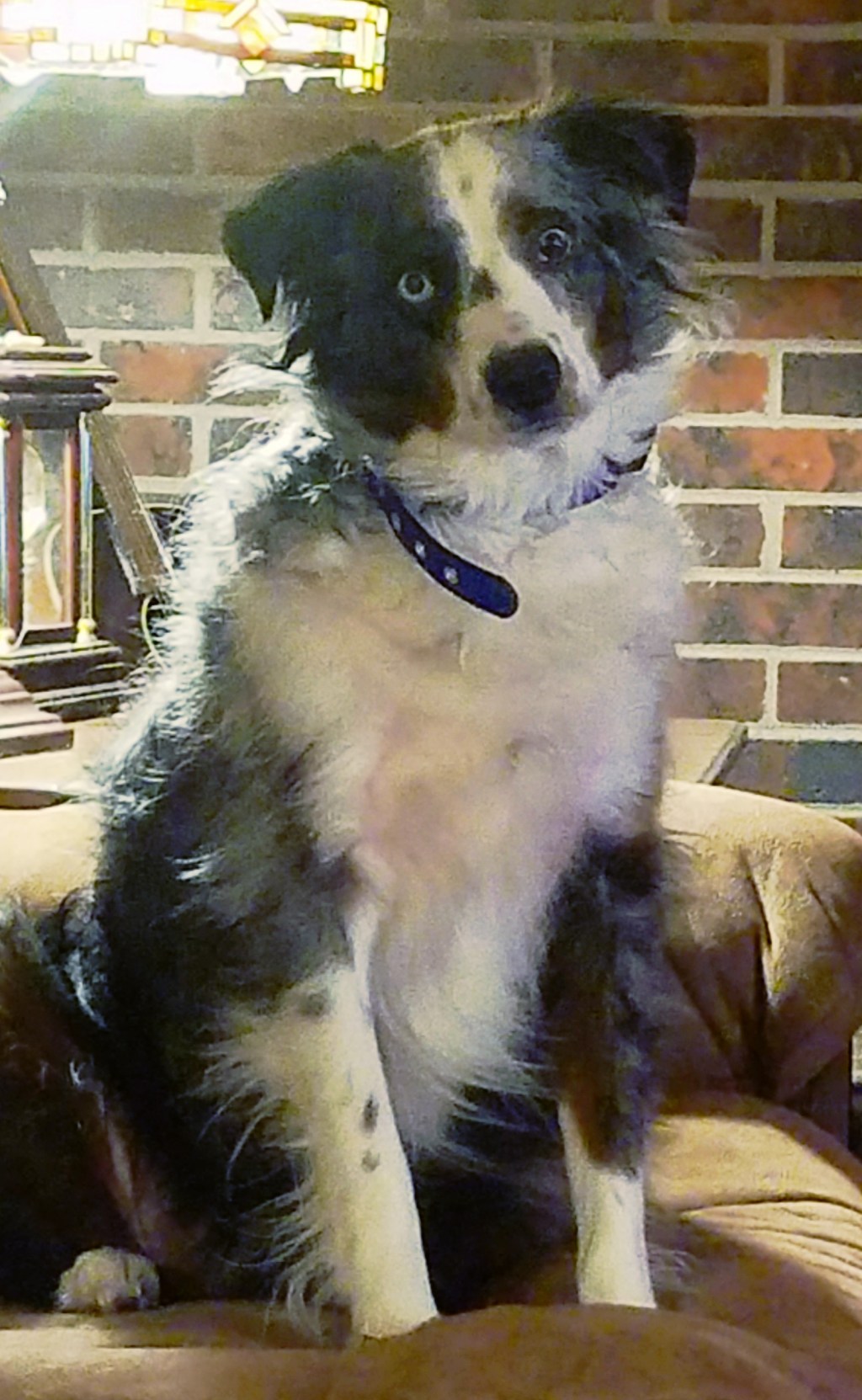 Share Your World – December 11, 2017-Improv&nbsp;Style