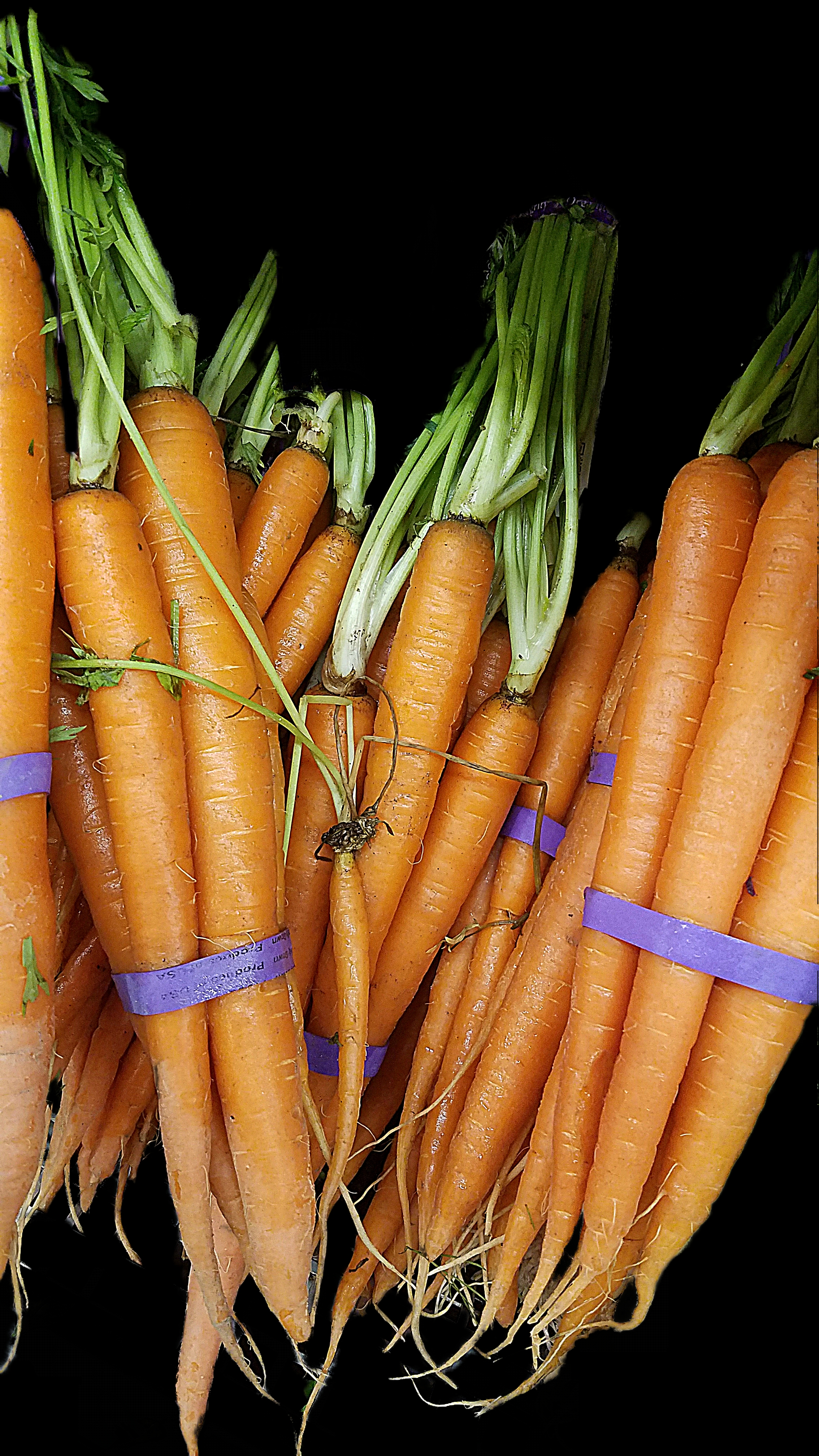 orange-carrots-20170109_163133A