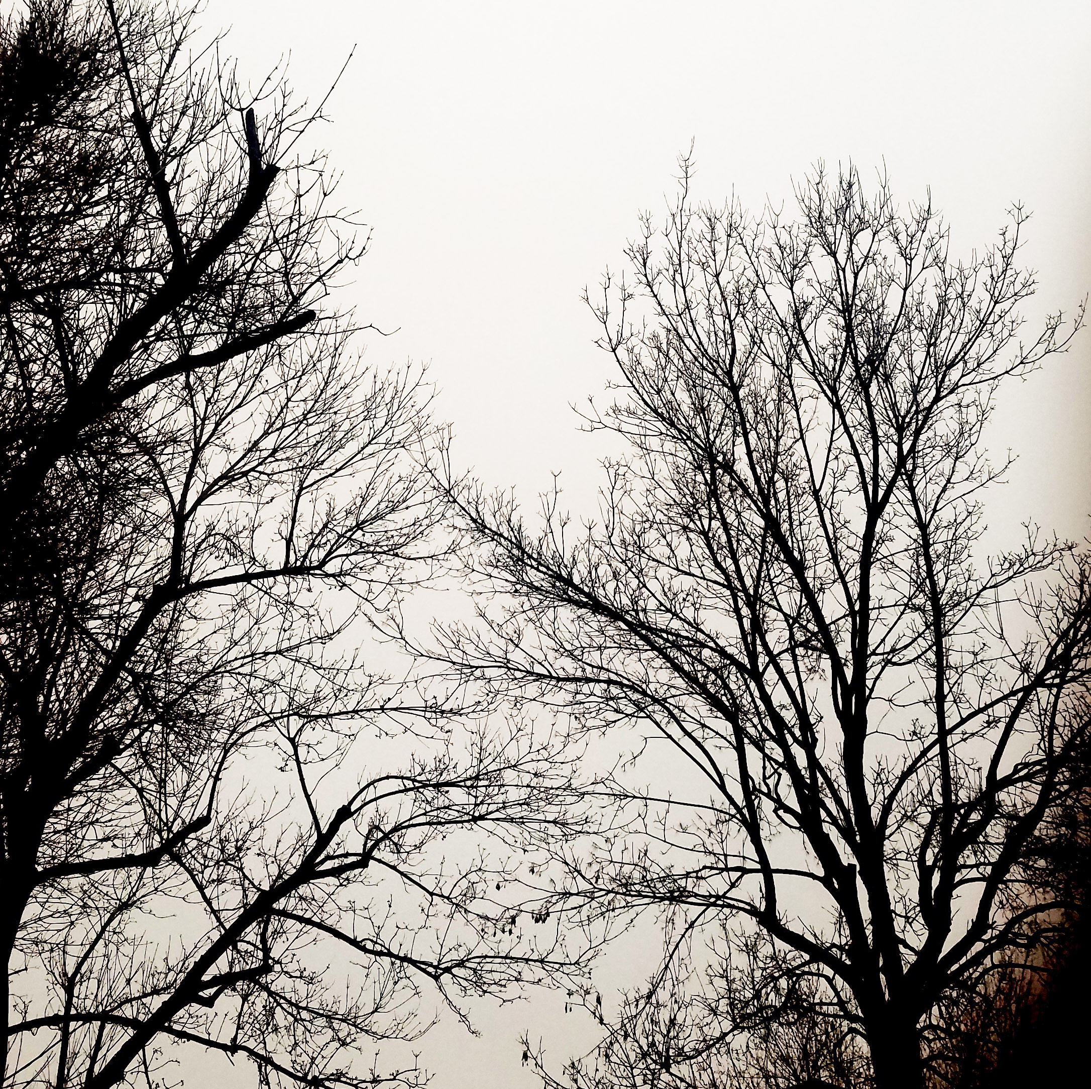 skies-cloudy-gry-12072017