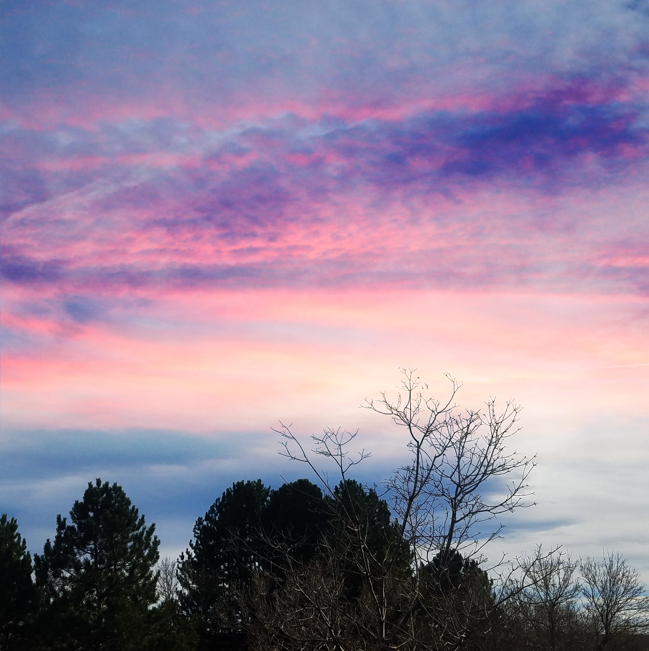 sky_20171203_square2