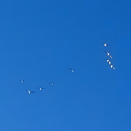 sqsky20171211_074023A