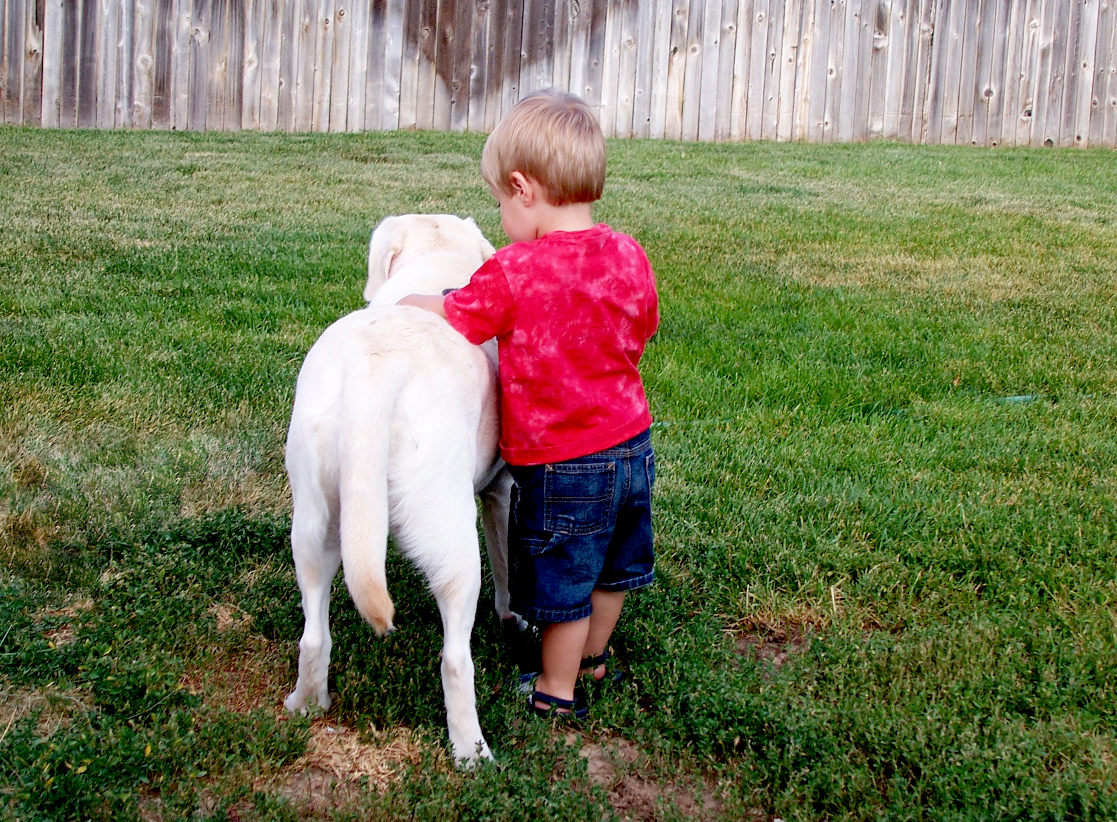 A boy and his dog