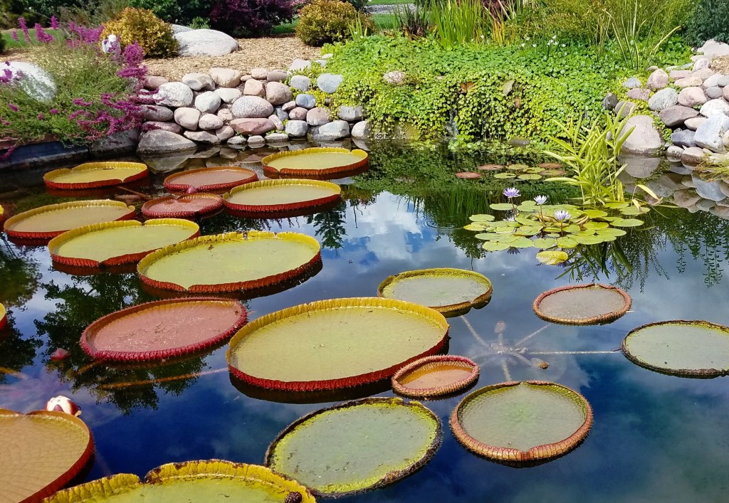 Tuesday Photo Challenge –&nbsp;Circle