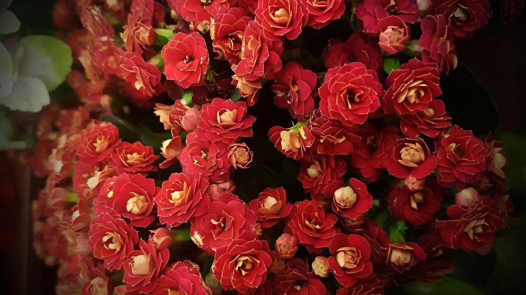 Tuesdays of Texture Week 2 of 2018 | Red&nbsp;Floral