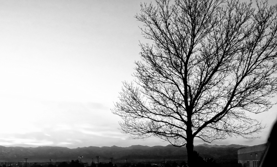 00-20180104_164722_sunset-Monochrome-900