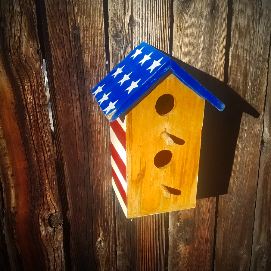 00-20180118_153323_birdhouseA900