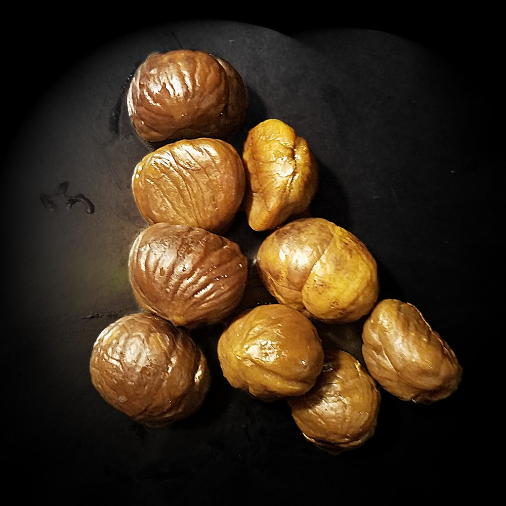 Color Your World –&nbsp;Chestnut