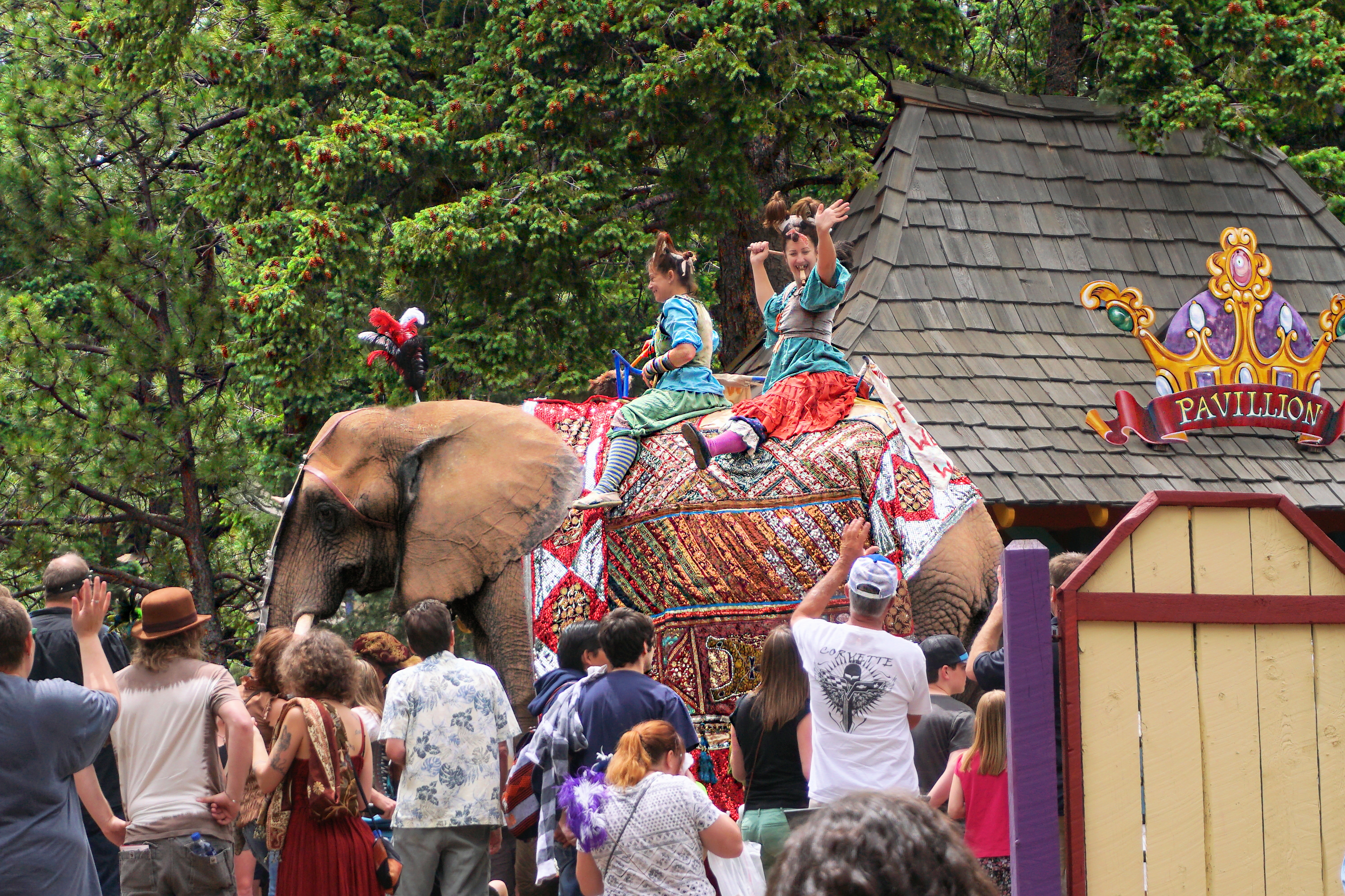 00-elephant2017RenFair-01368_pe