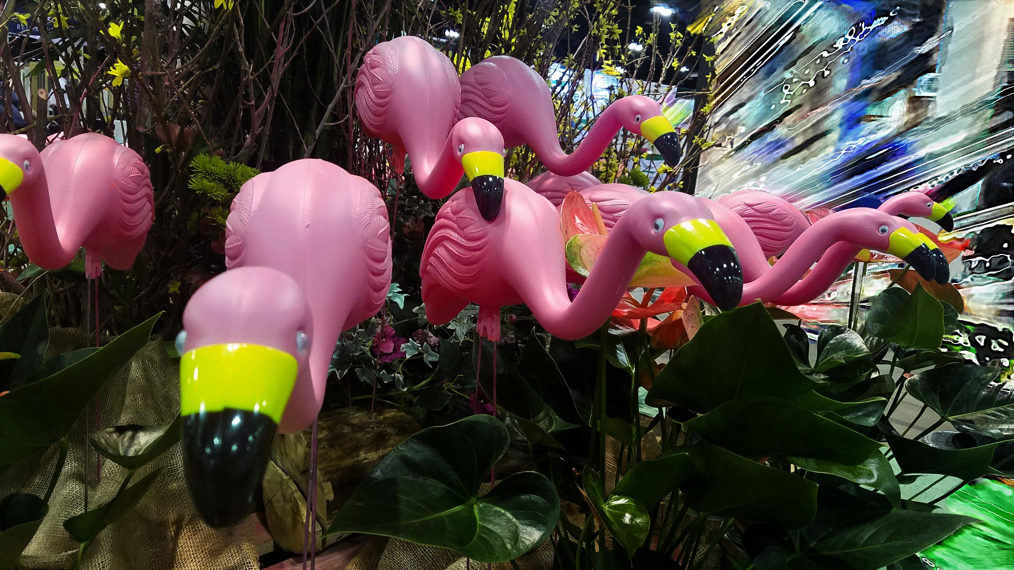 00-flamigo-pink-20170205_141928_pe