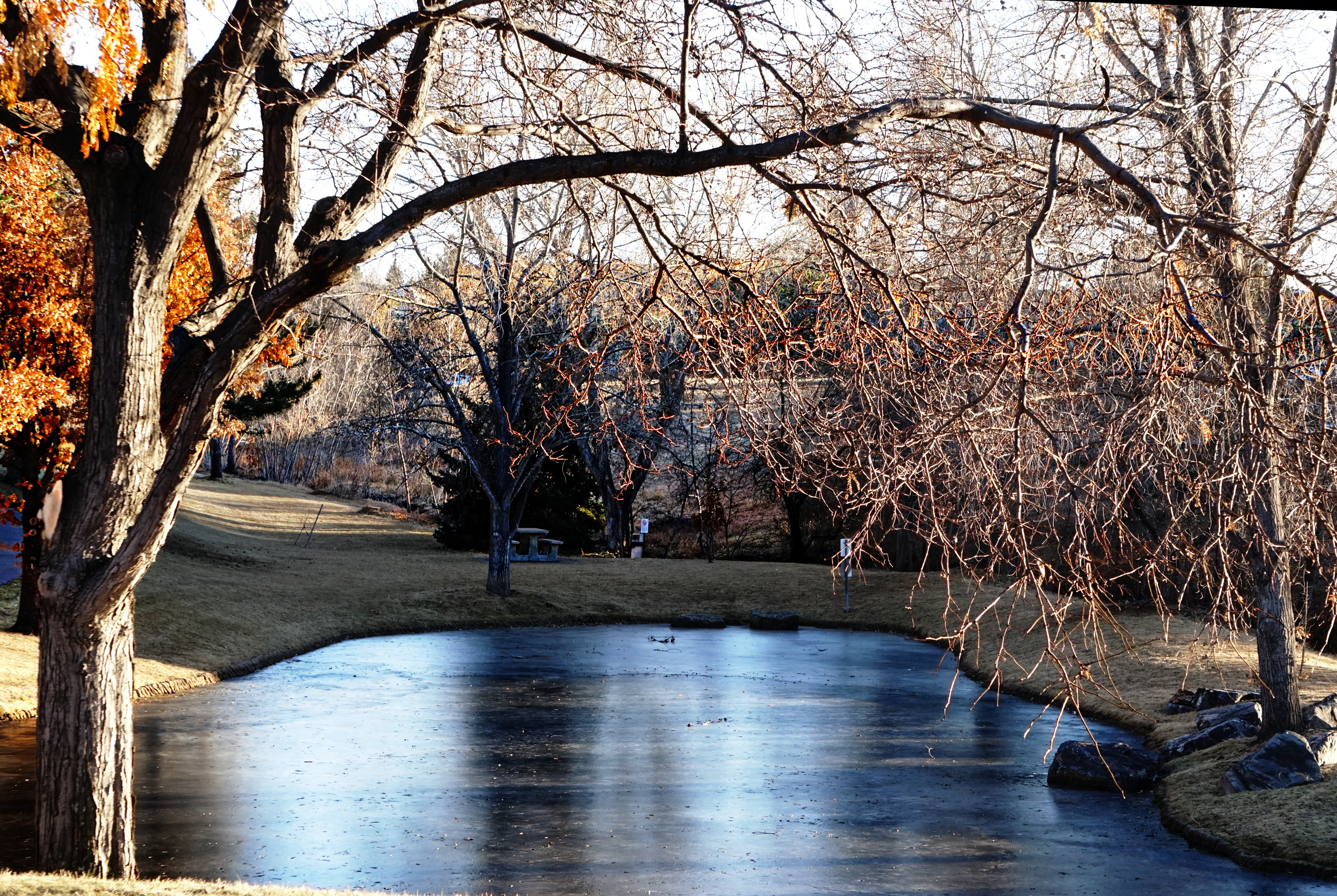 00-frozenlake-cold- algid-DSC03919A