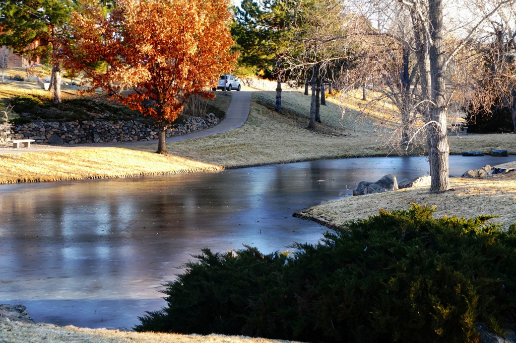 365 PROJECT – On Frozen&nbsp;Pond