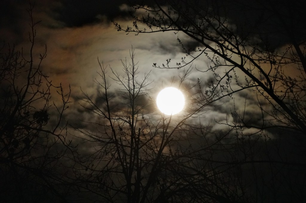 Weekly Weather |&nbsp;Night