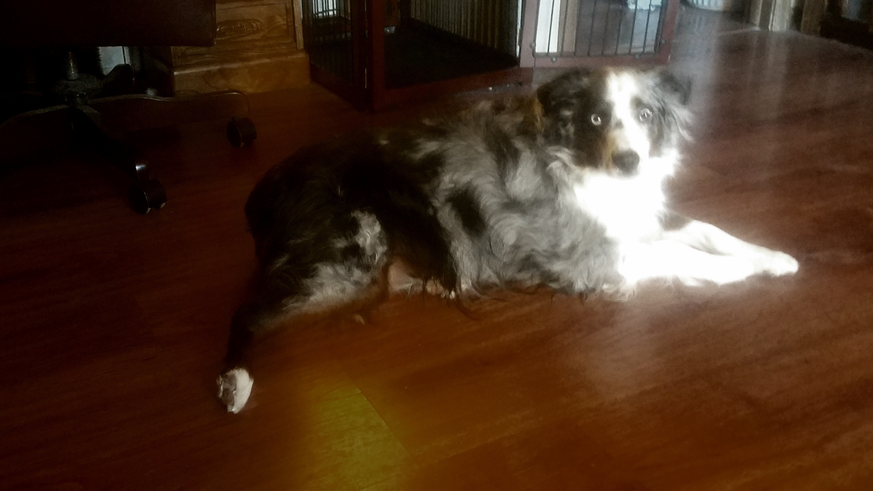 00-Oberon-20180101_112619