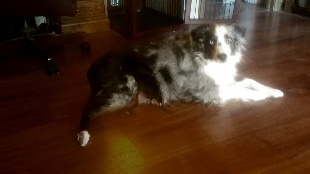 Color Your World –&nbsp;Timberwolf