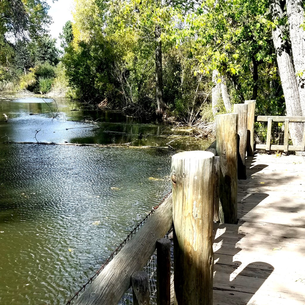 Today’s Affirmation