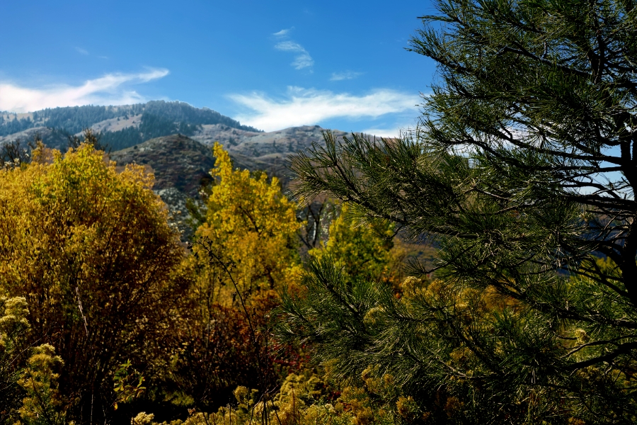 00-Rockies-900-DSC03401_A