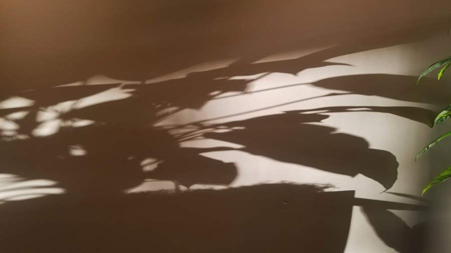 Color Your World –&nbsp;Shadow