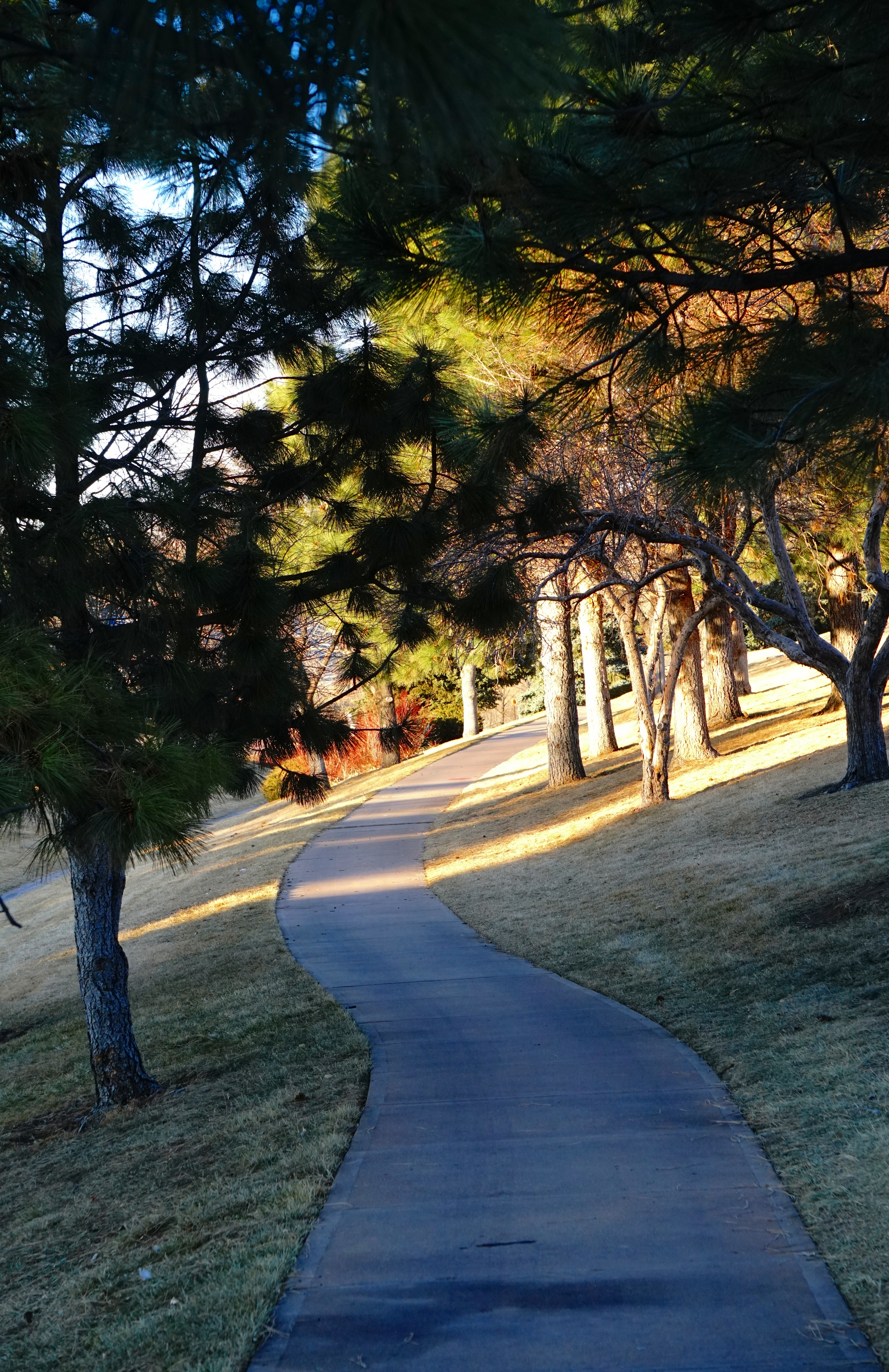 00-whichway-0105-DSC03925A