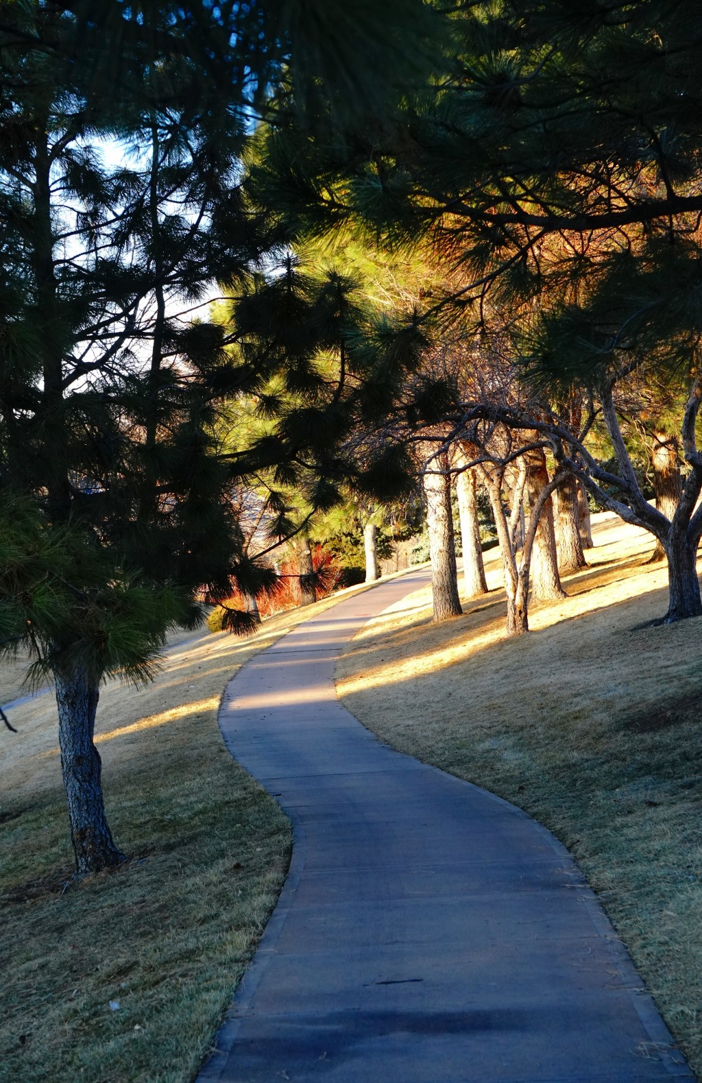 Cee’s Which Way Photo Challenge – January 5,&nbsp;2018