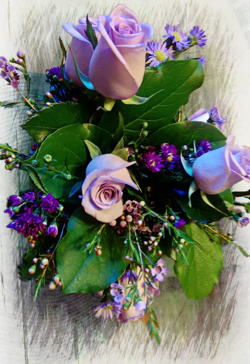 Flower of the Day – Jan&nbsp;15