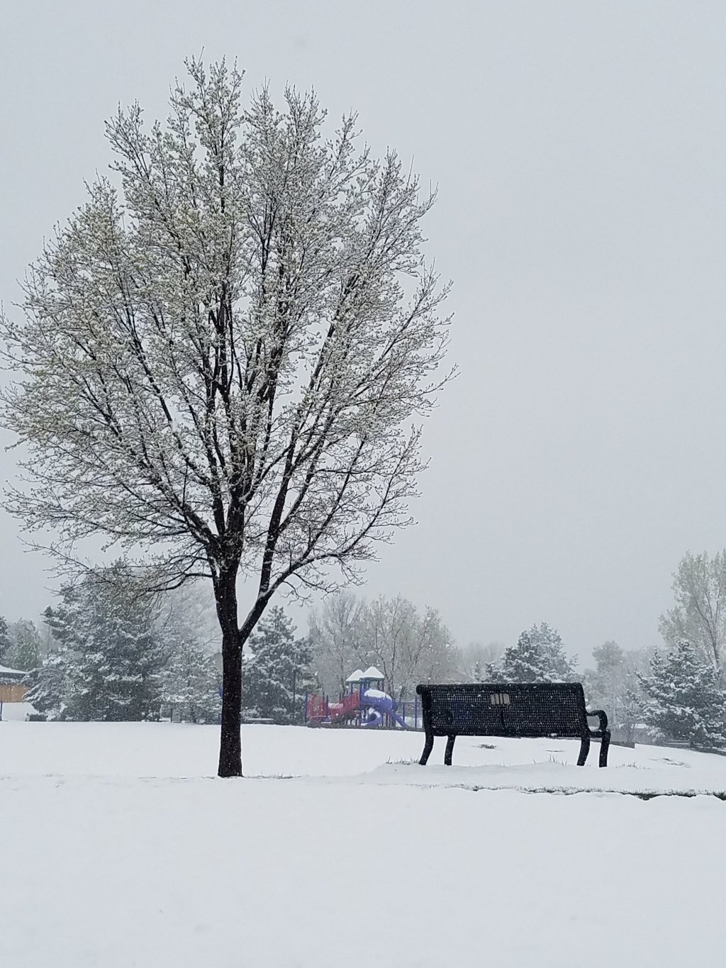 Photo Challenges – Variations on a&nbsp;Theme