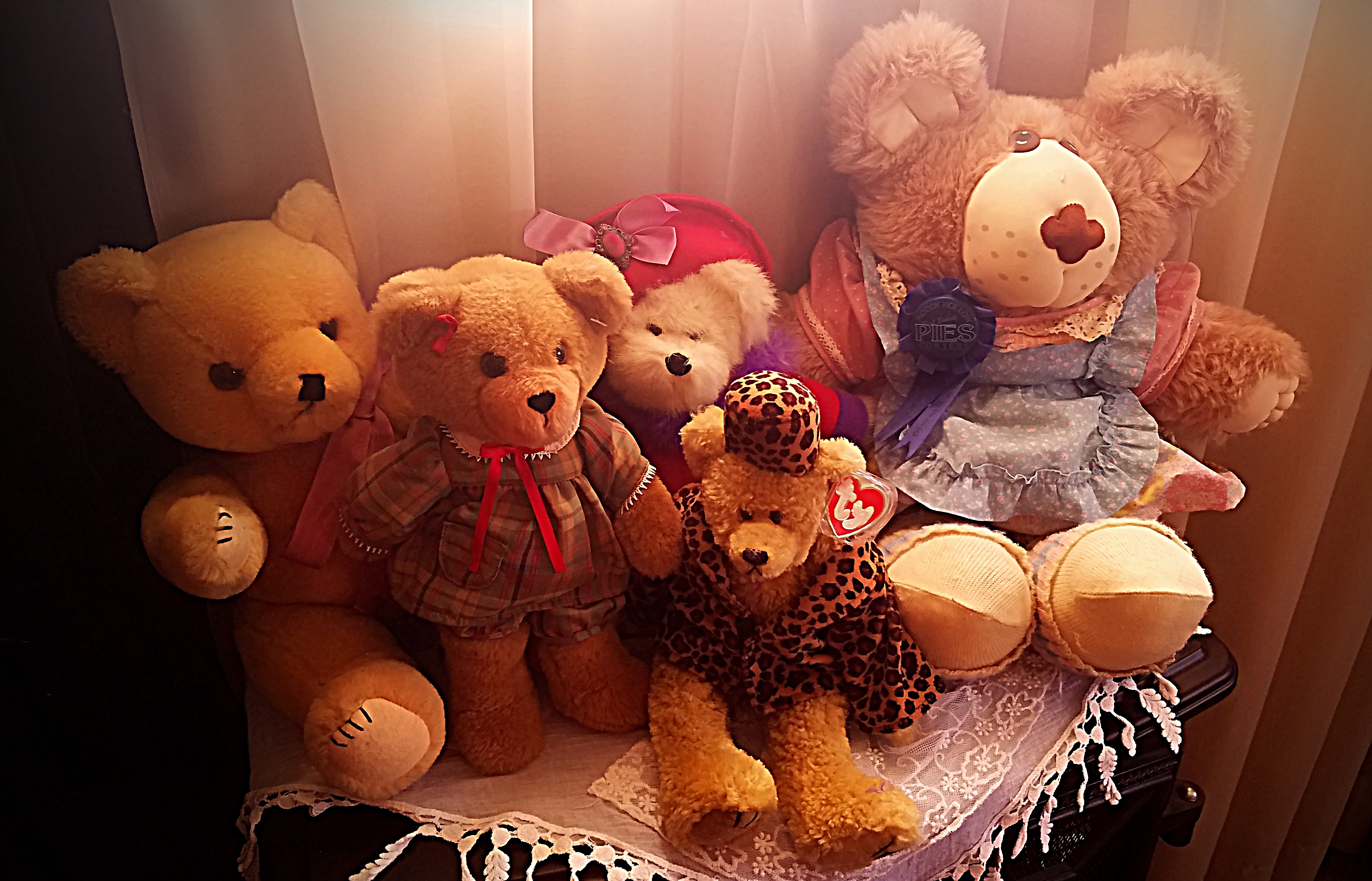 20170102_125446-TeddyBears